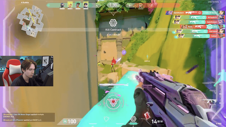 Video revision preview